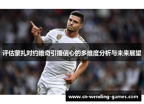 评估蒙扎对约维奇引援信心的多维度分析与未来展望